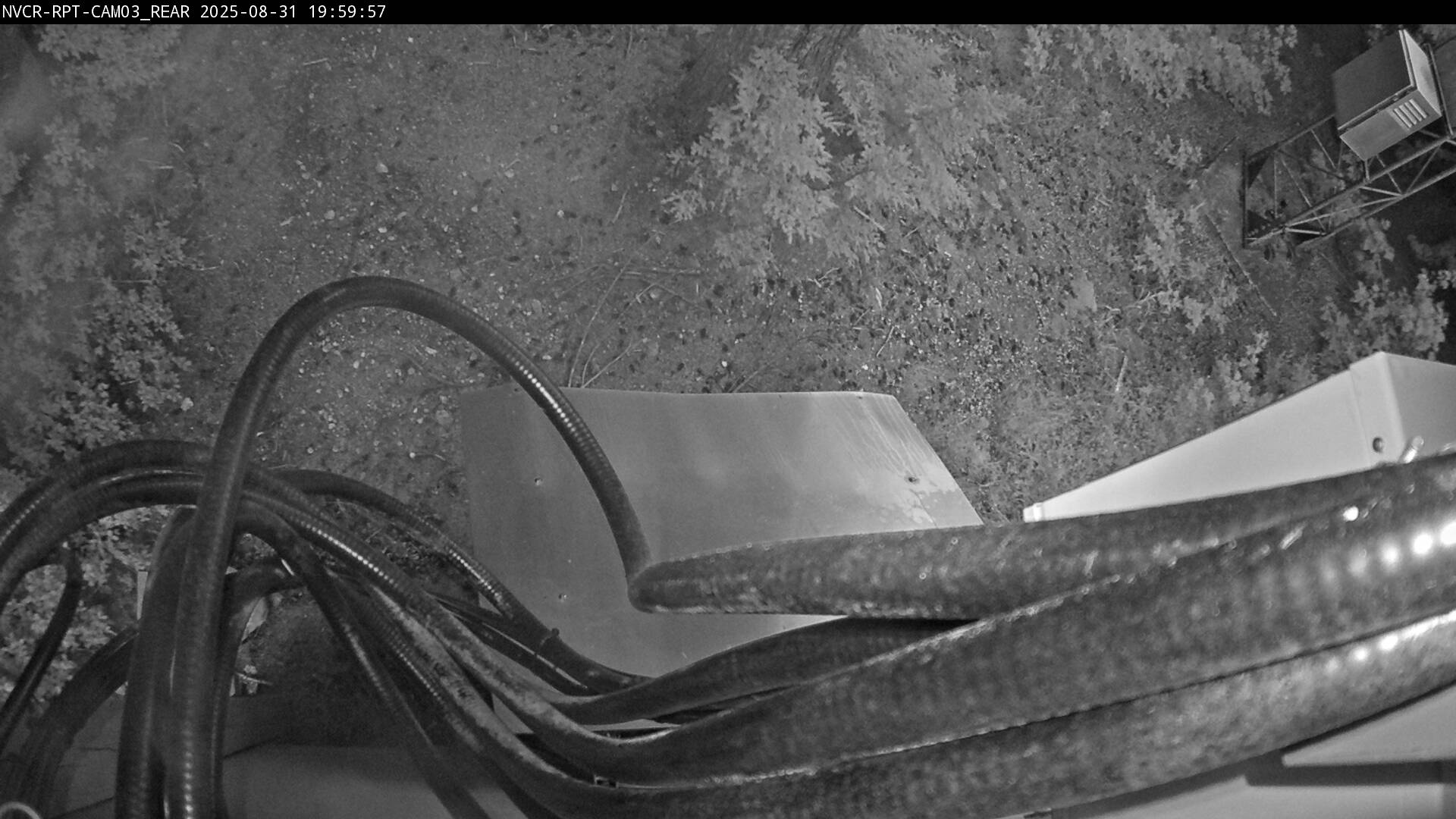 Web Cam History Image - 7