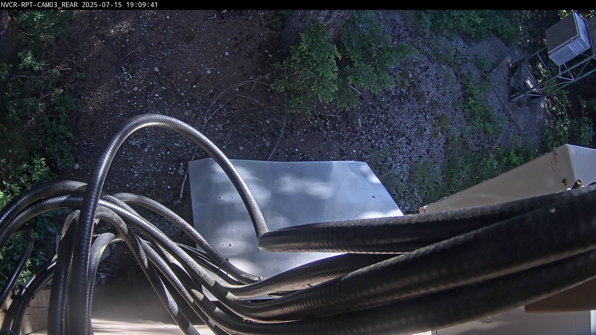Web Cam History Image - 61