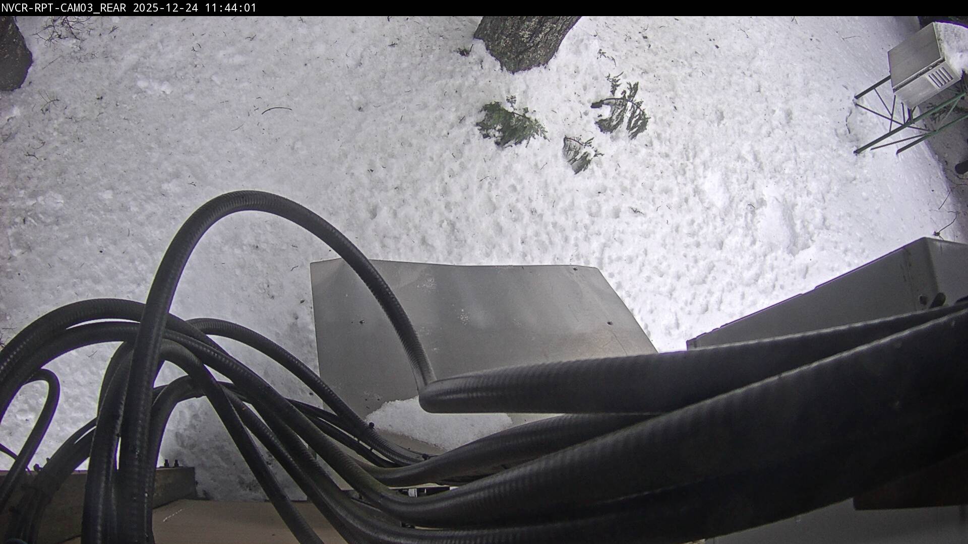 Web Cam History Image - 61