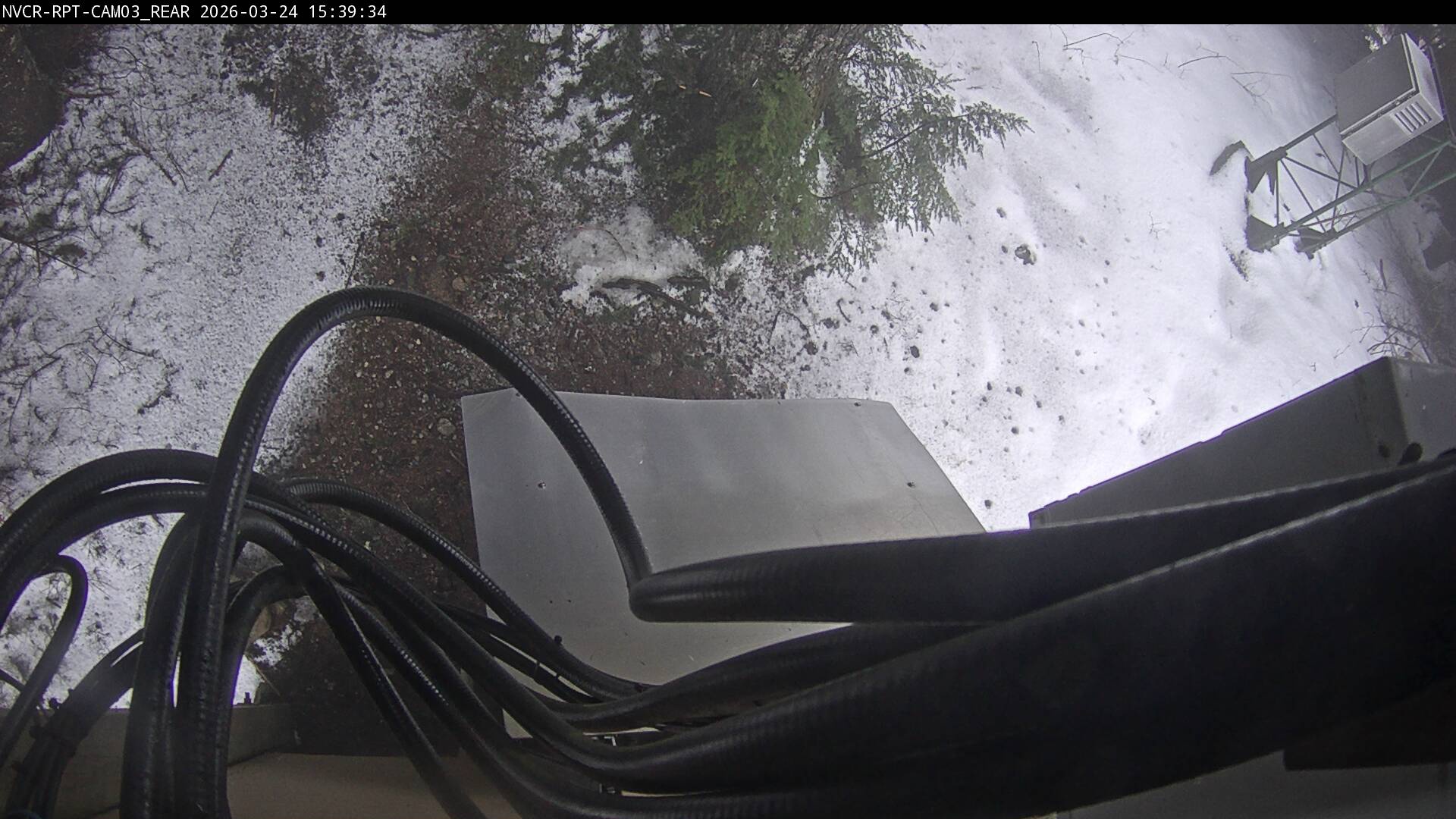 Web Cam History Image - 61