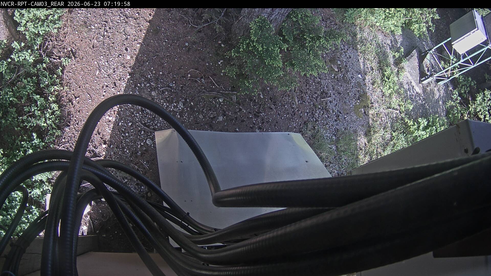 Web Cam History Image - 61