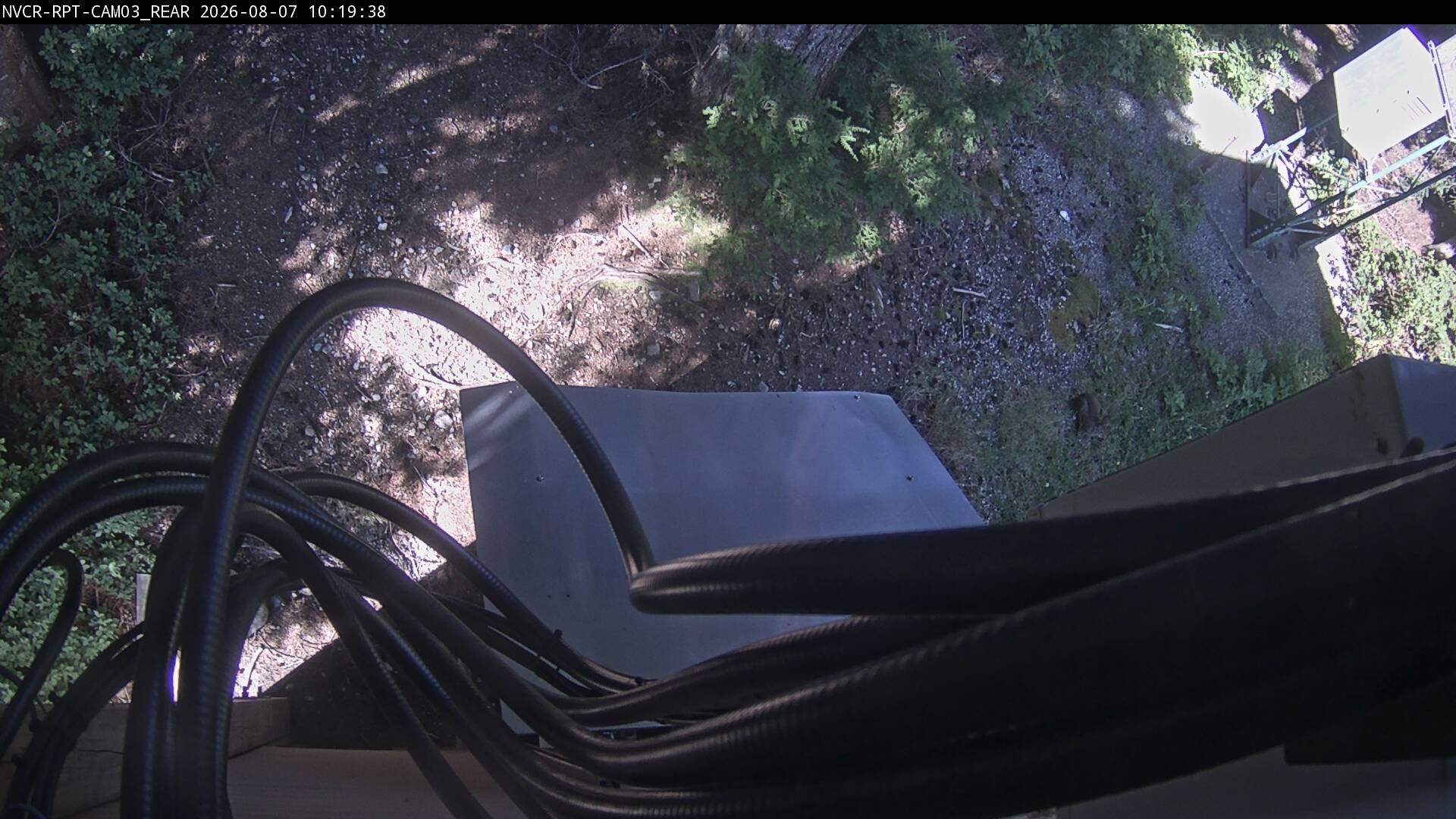 Web Cam History Image - 61