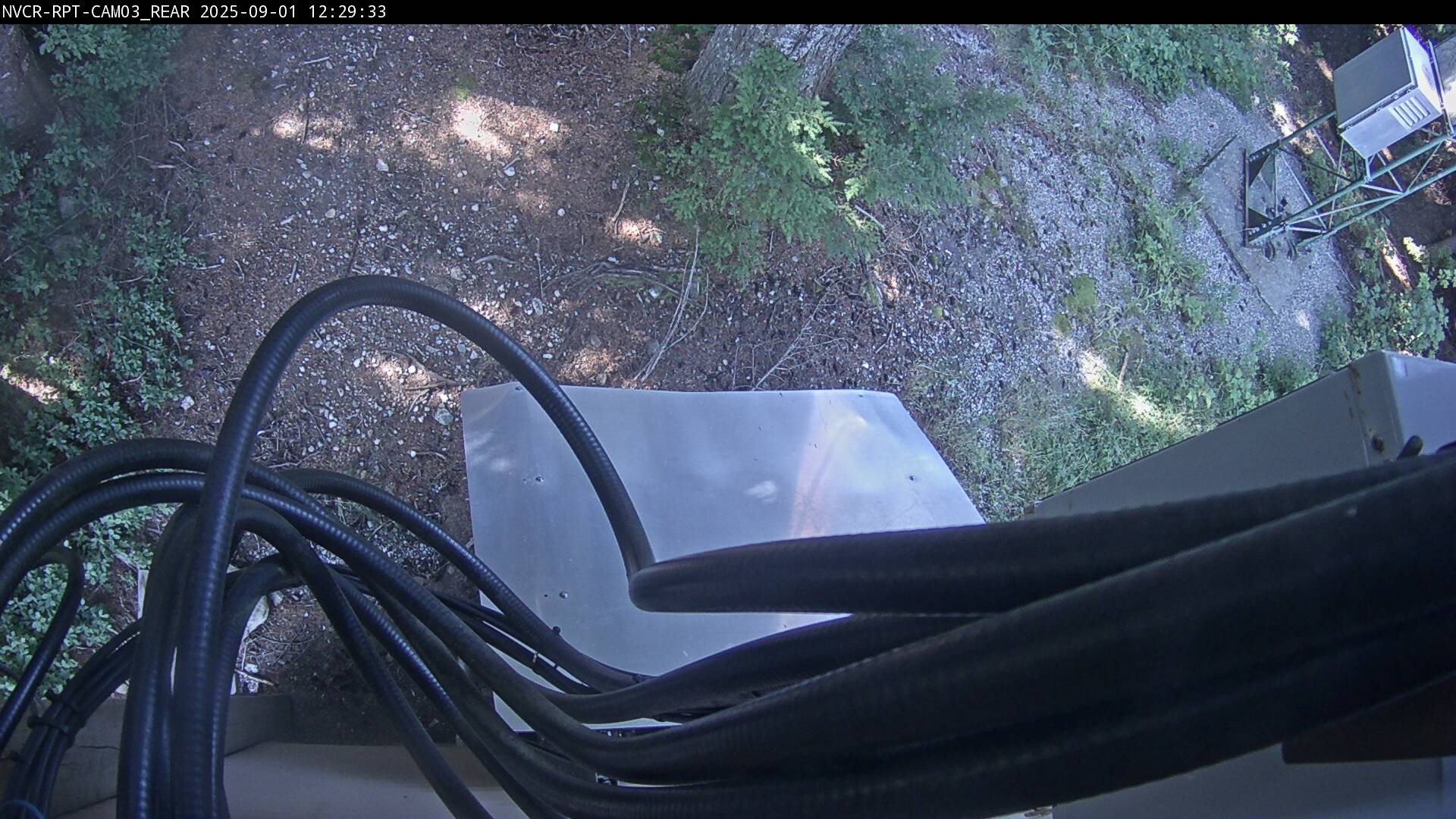 Web Cam History Image - 602