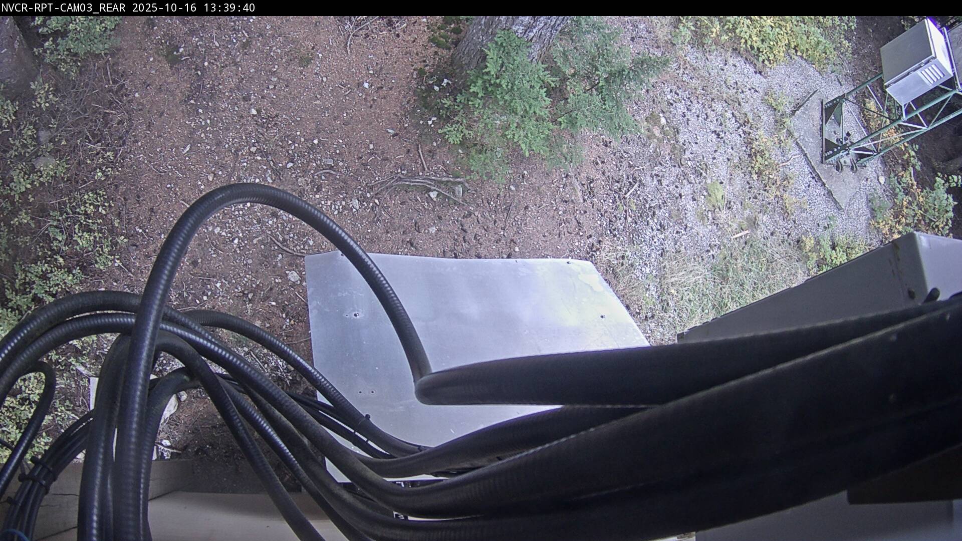 Web Cam History Image - 602