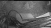 Web Cam Image - Thu, 05/07/2026 4:29am PDT