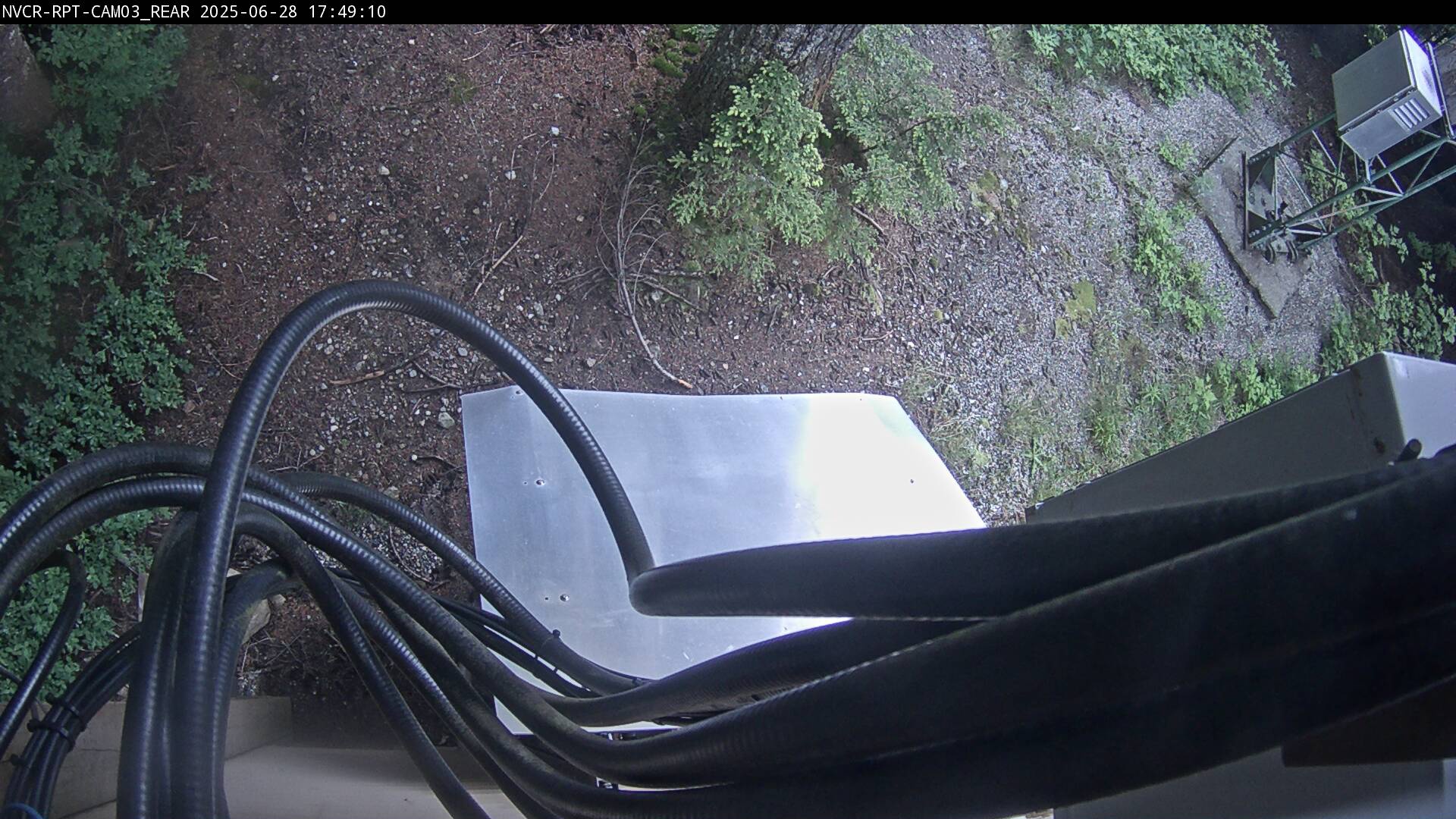 Web Cam History Image - 603