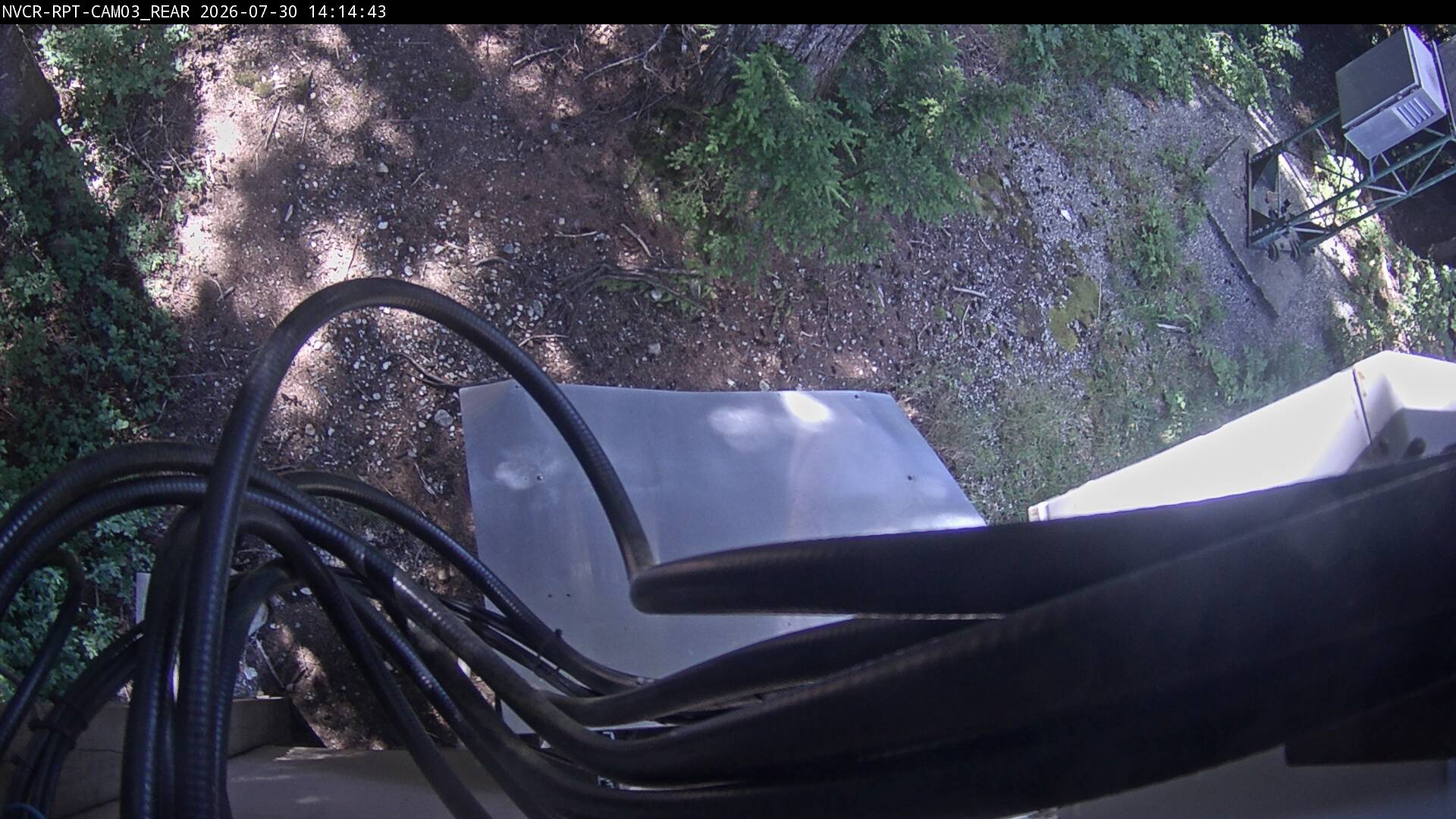 Web Cam History Image - 603