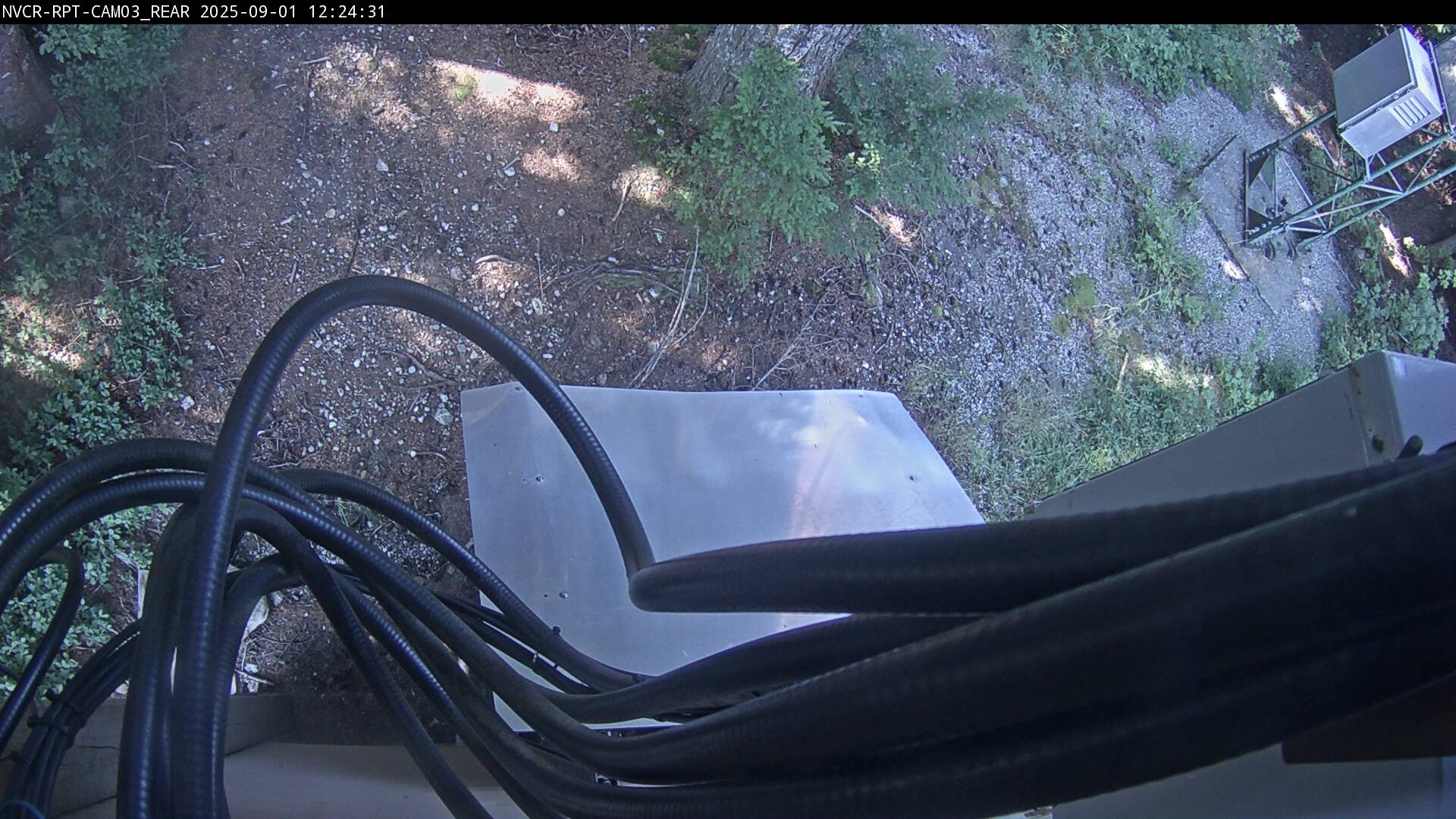 Web Cam History Image - 604