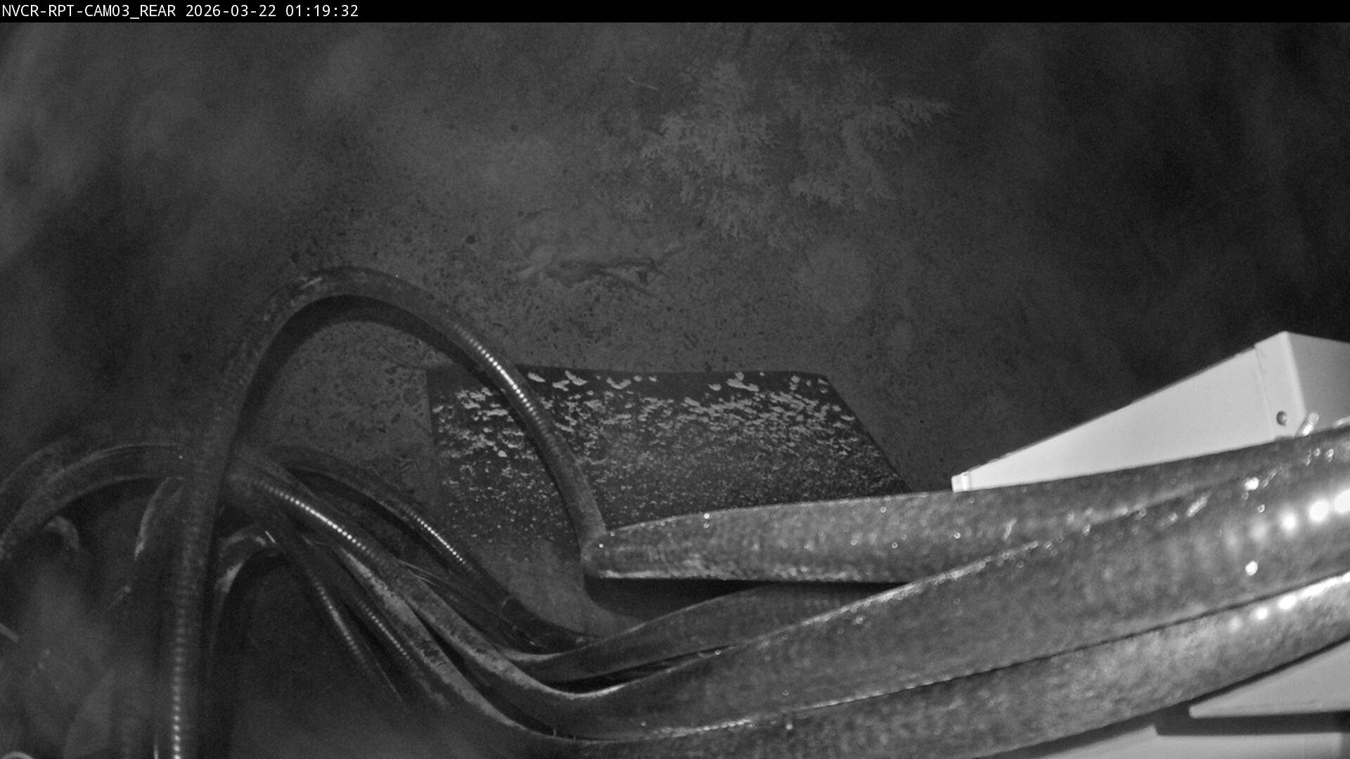 Web Cam History Image - 604