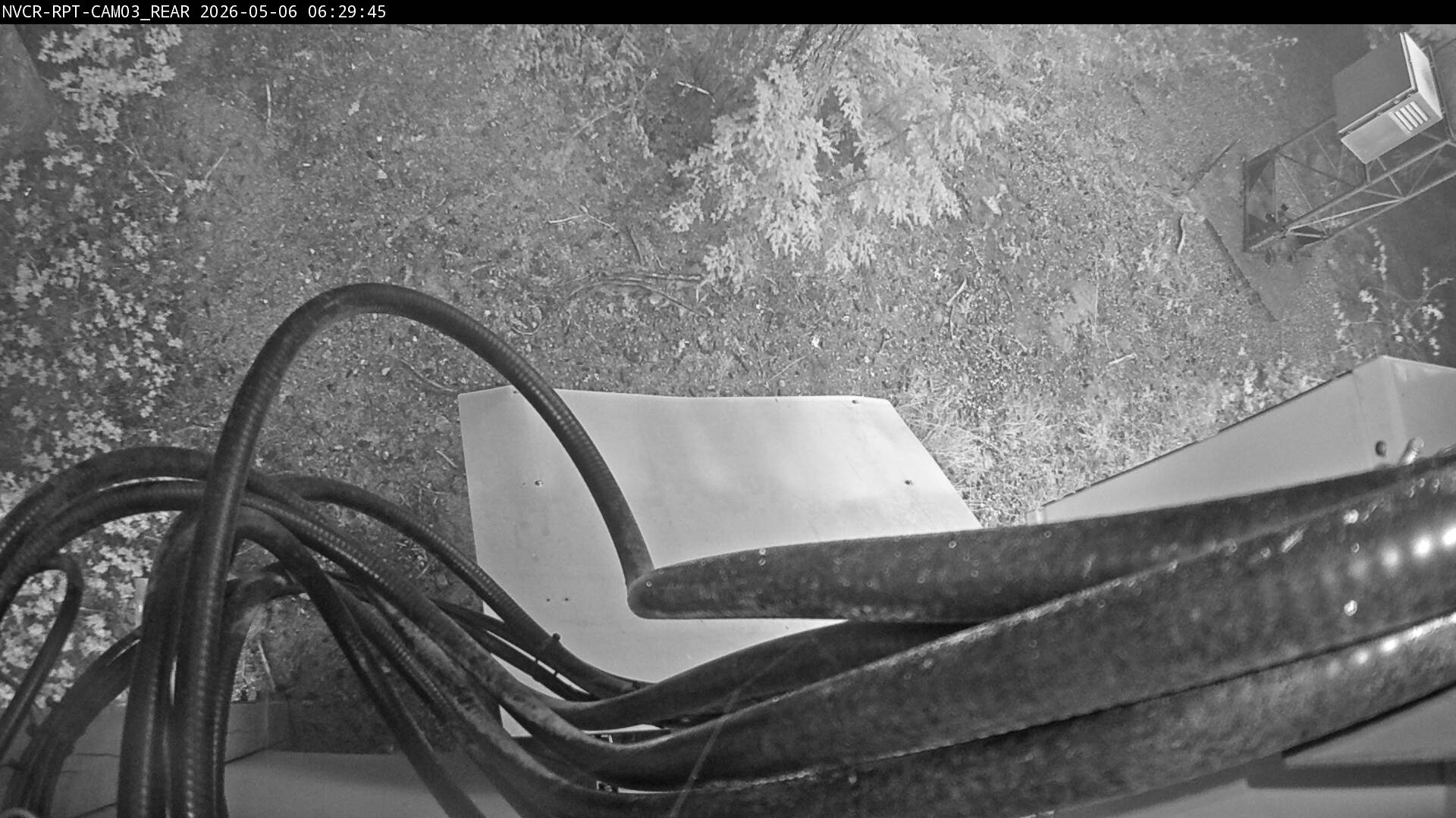 Web Cam History Image - 604