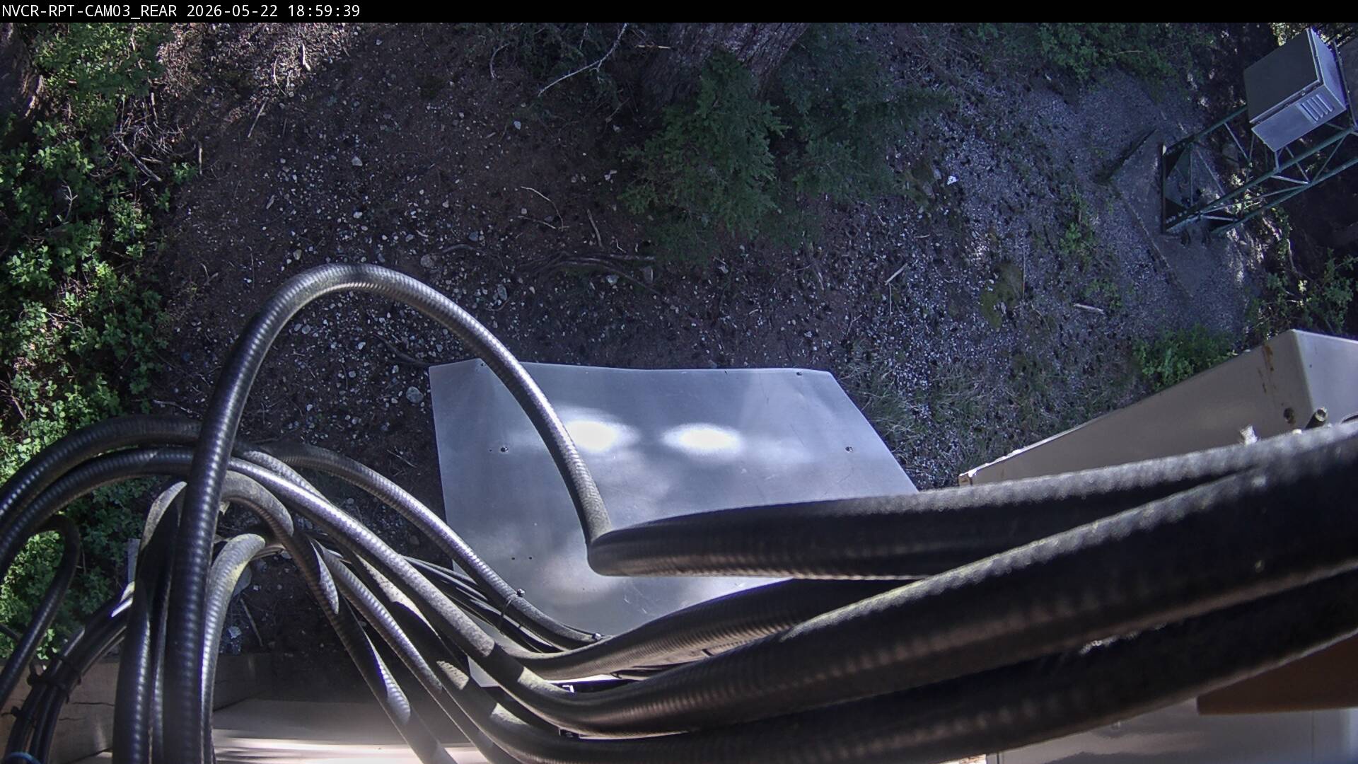 Web Cam History Image - 604