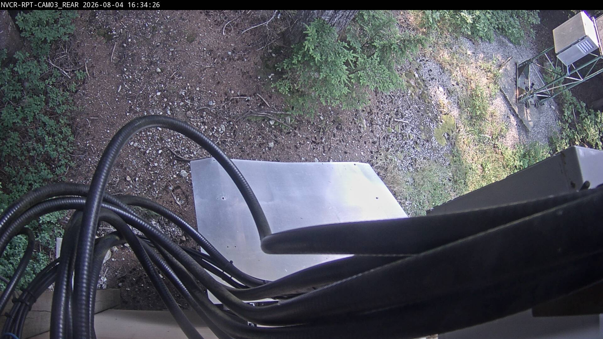 Web Cam History Image - 604