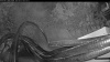Web Cam Image - Thu, 08/27/2026 5:24am PDT