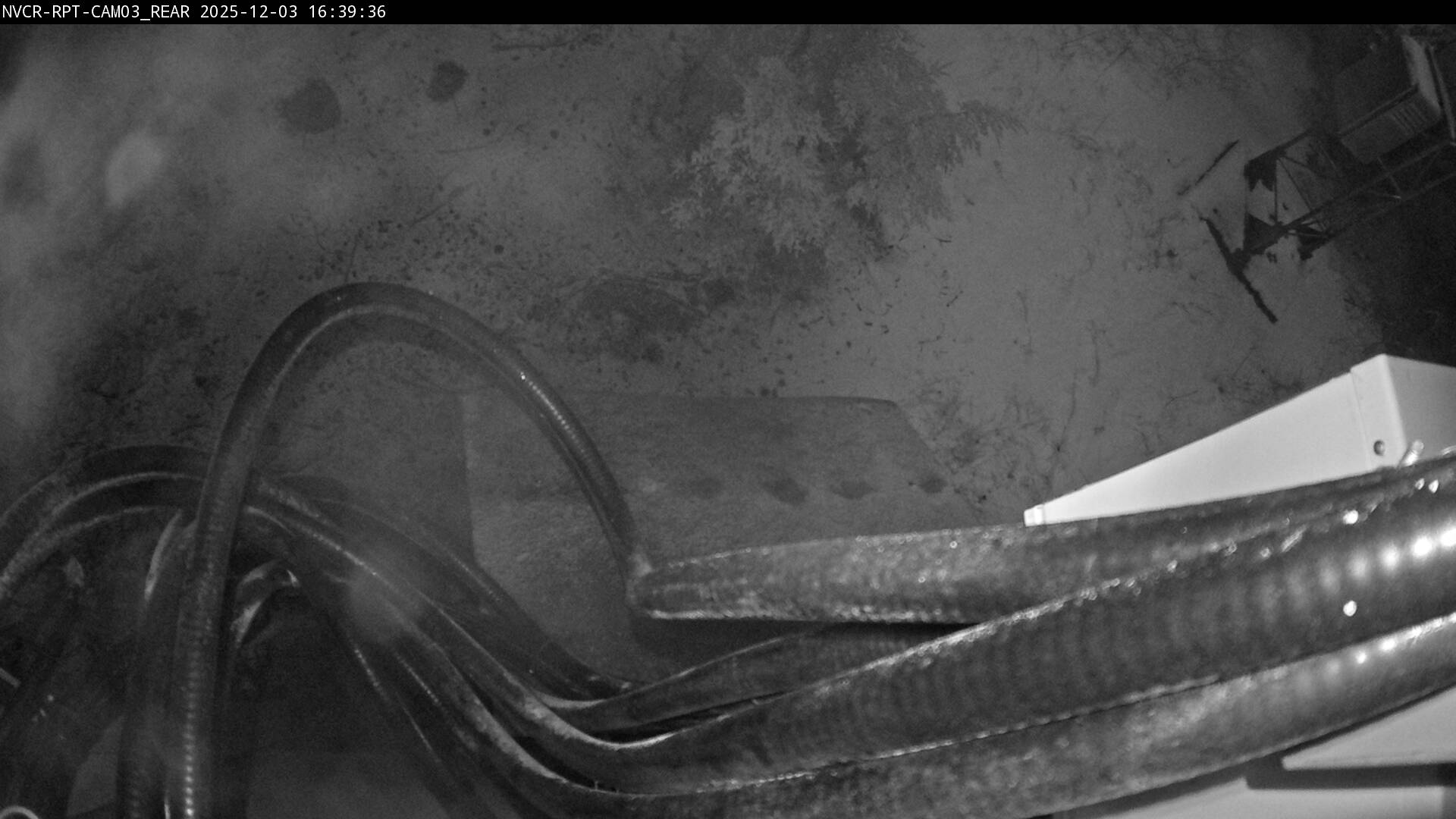 Web Cam History Image - 605