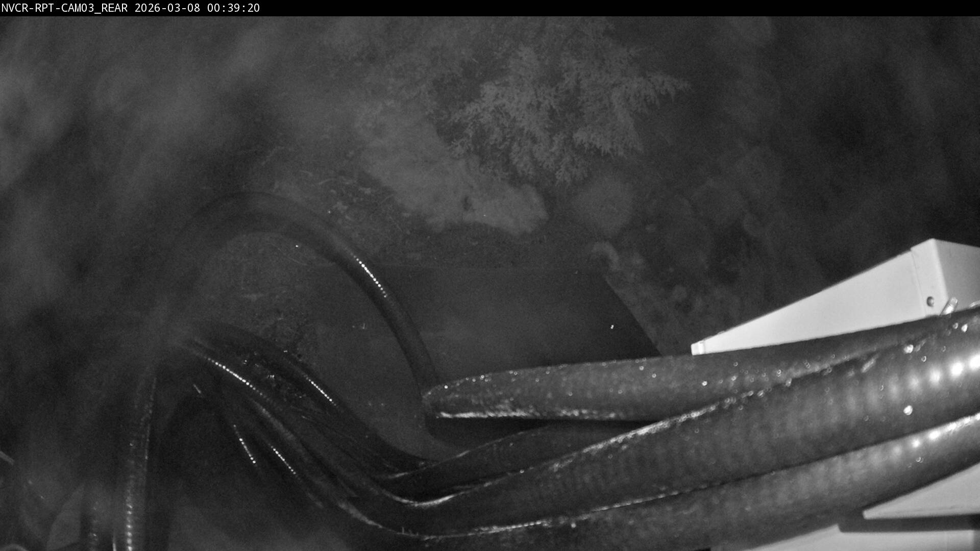 Web Cam History Image - 605