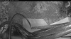 Web Cam Image - Sat, 06/06/2026 4:14am PDT