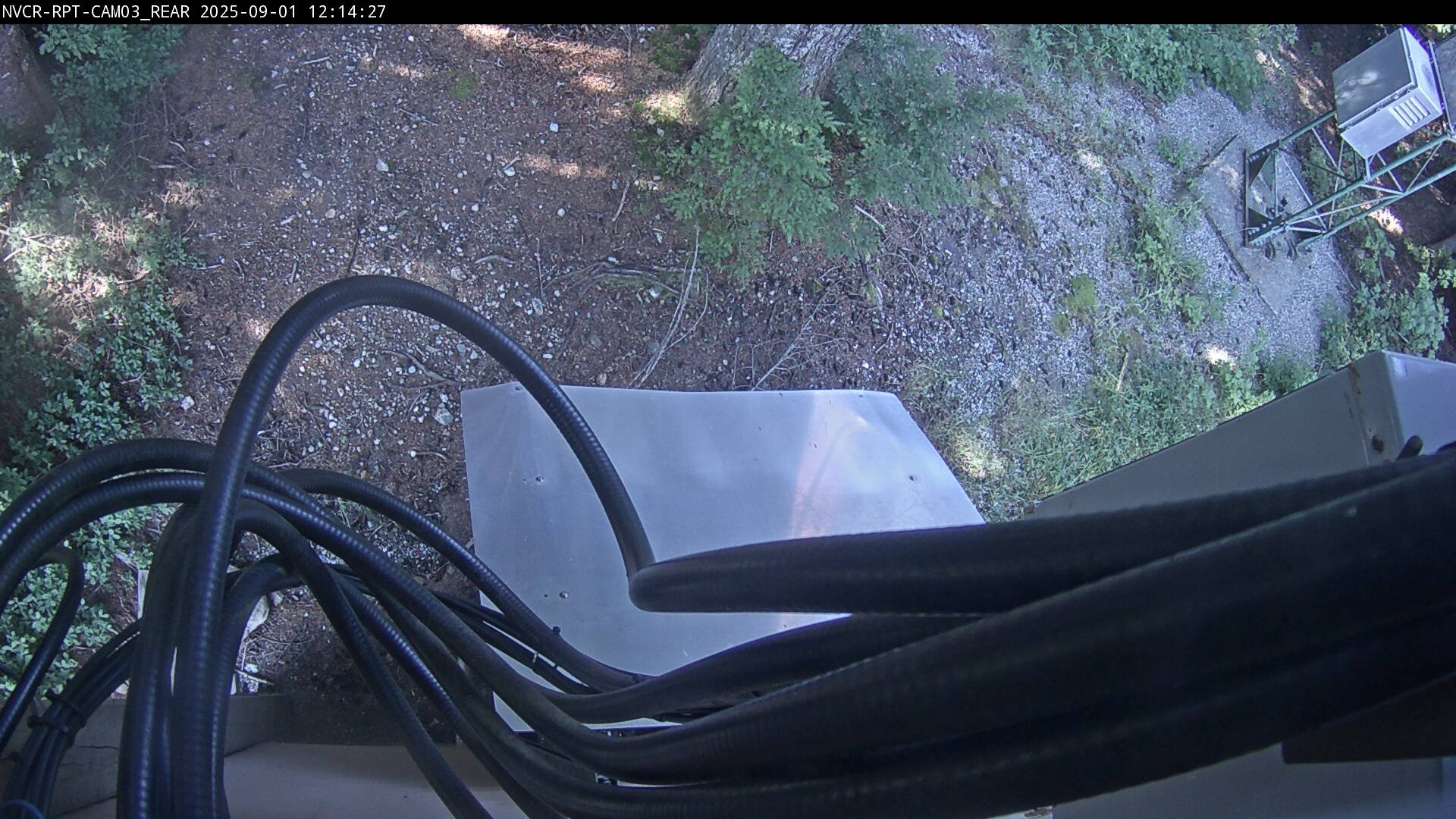 Web Cam History Image - 606