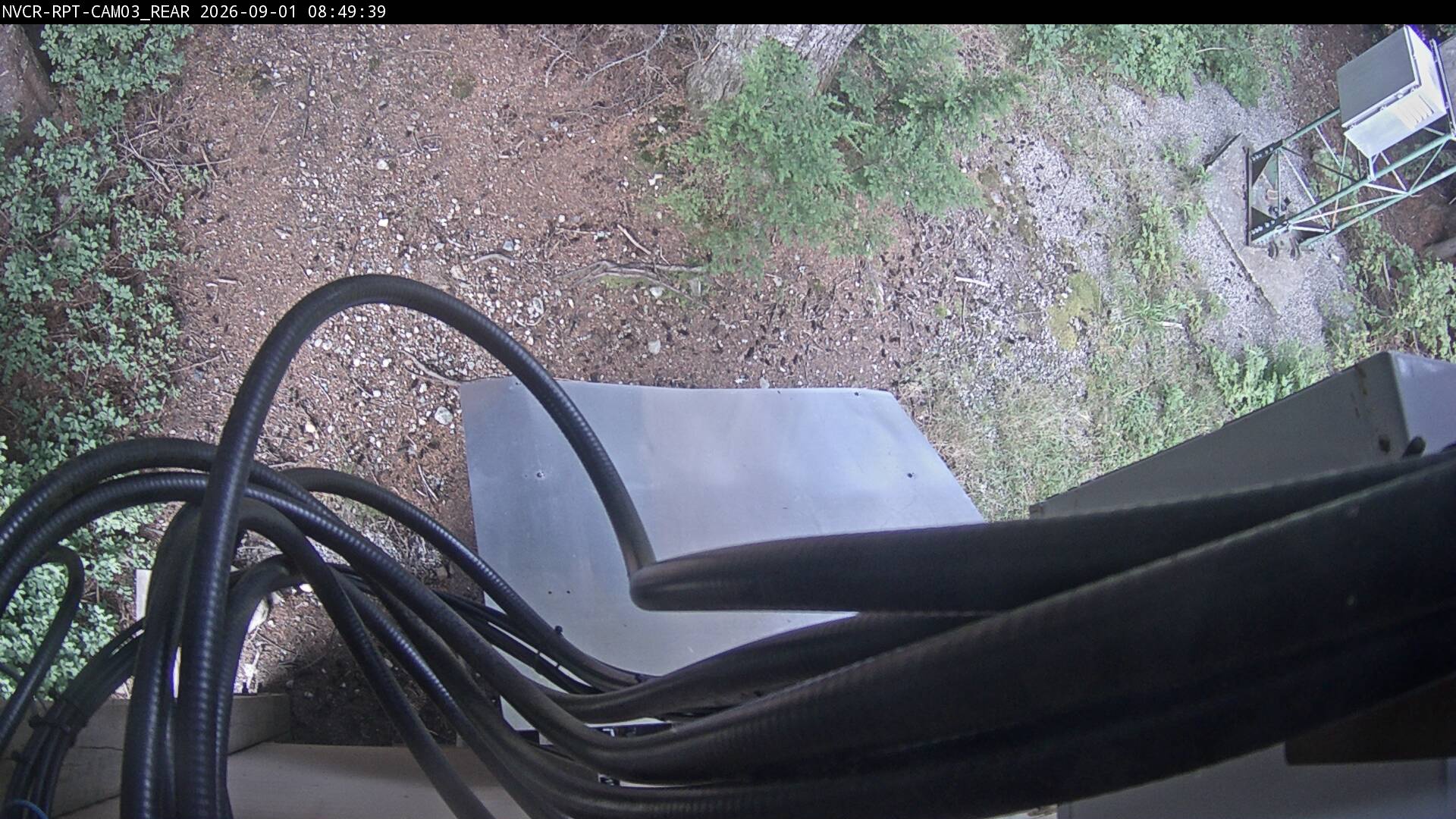 Web Cam History Image - 606