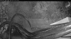 Web Cam Image - Mon, 05/18/2026 4:14am PDT