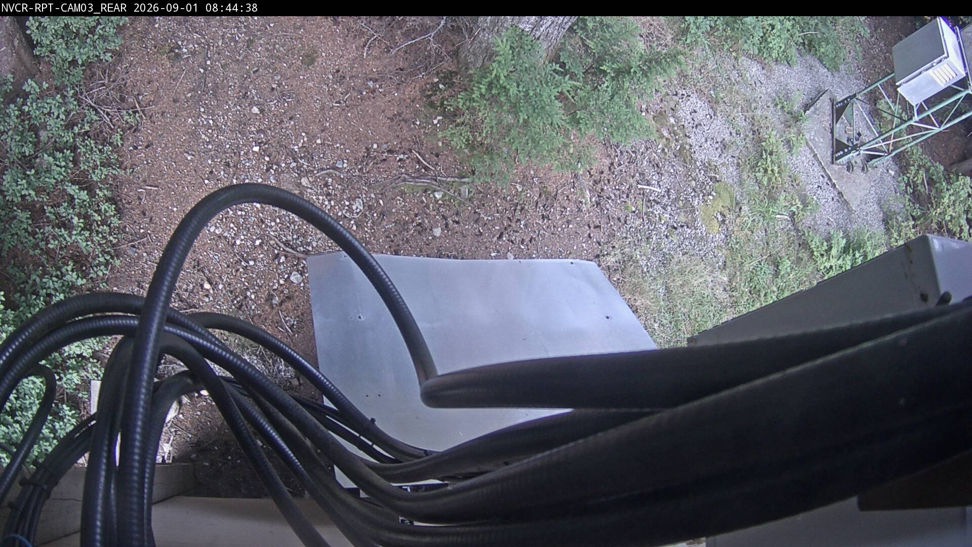 Web Cam History Image - 607