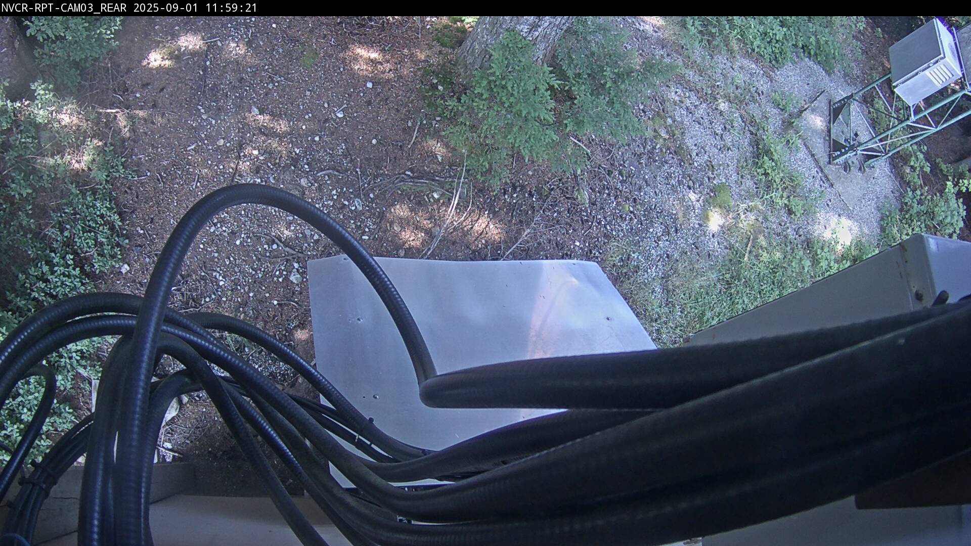 Web Cam History Image - 609