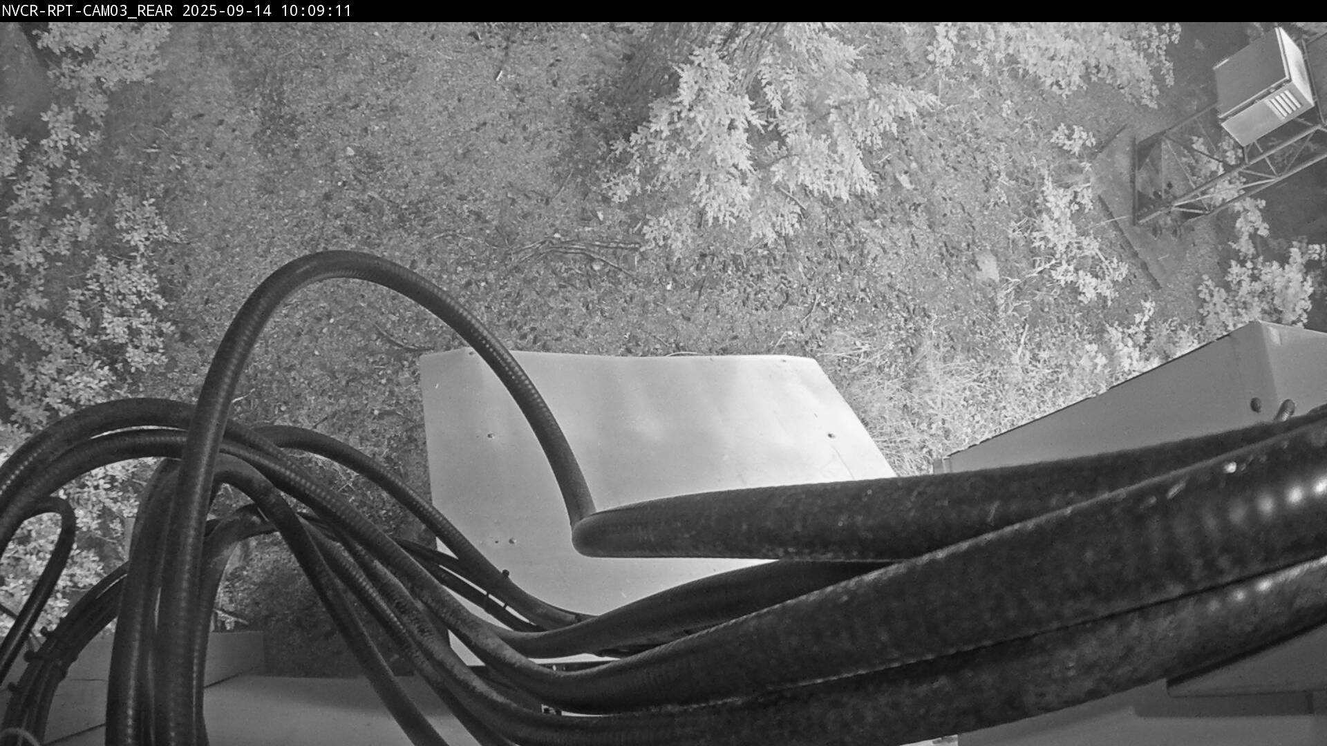 Web Cam History Image - 609