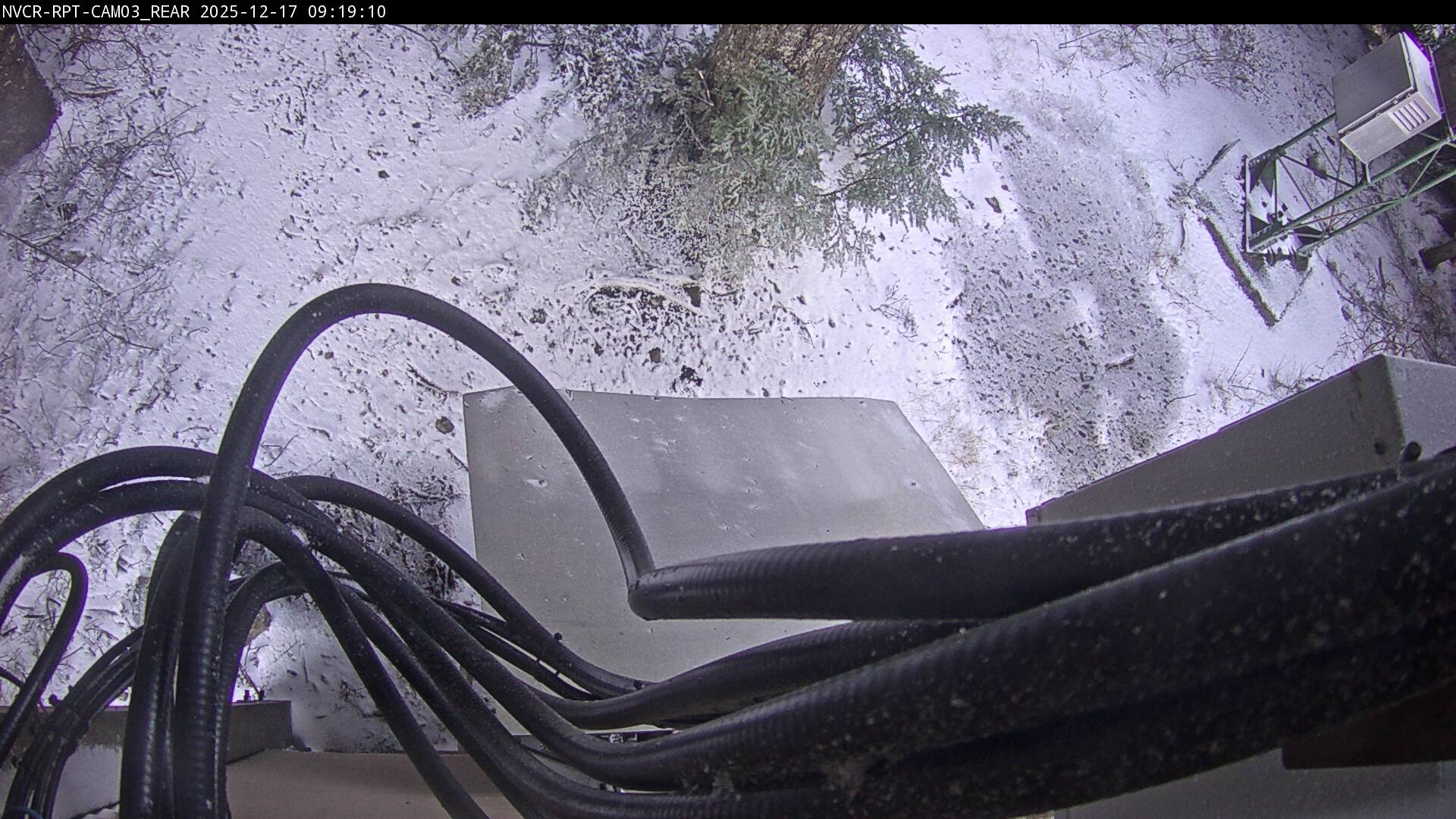 Web Cam History Image - 609