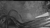 Web Cam Image - Sat, 09/12/2026 6:34pm PDT
