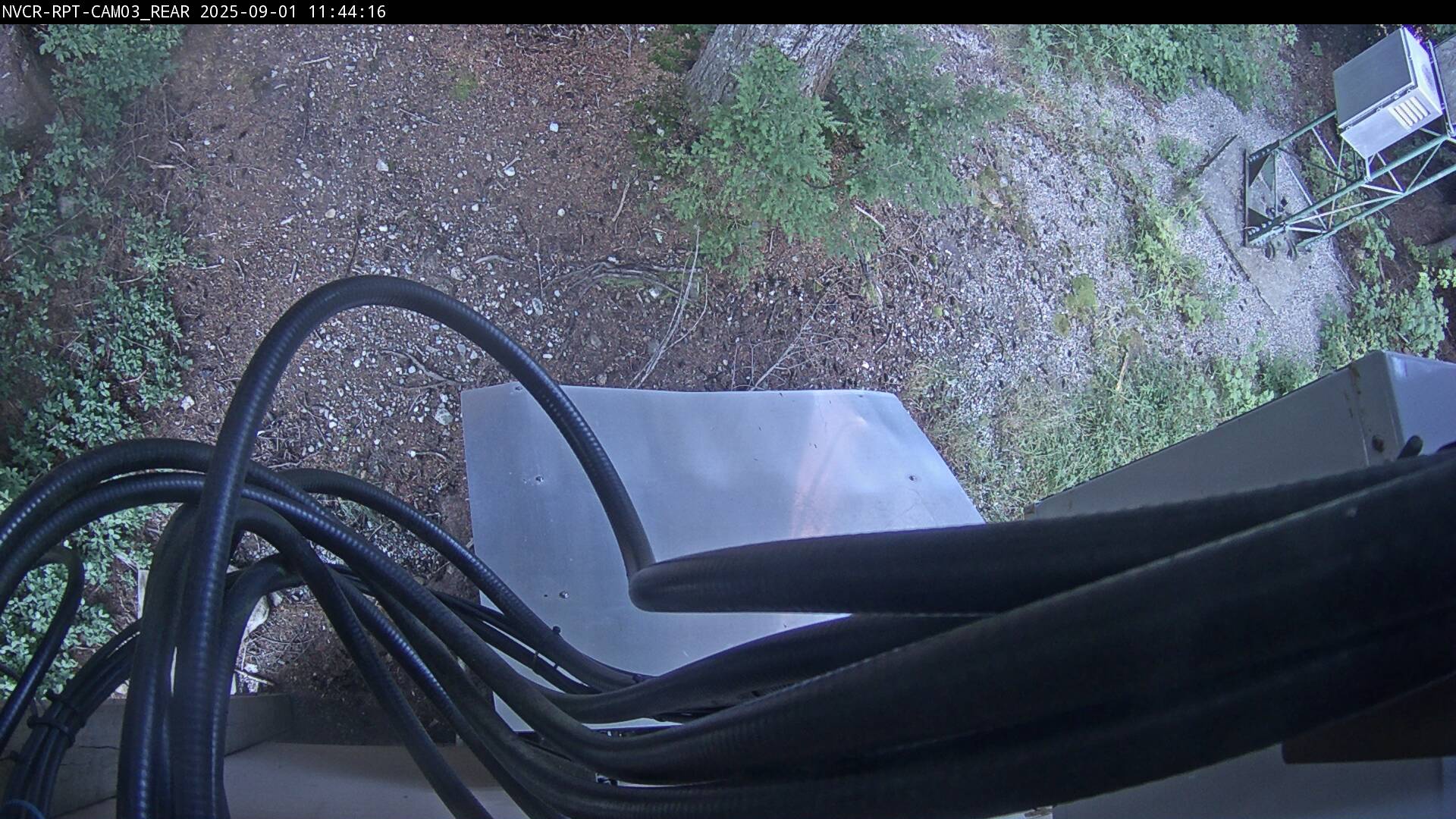 Web Cam History Image - 611