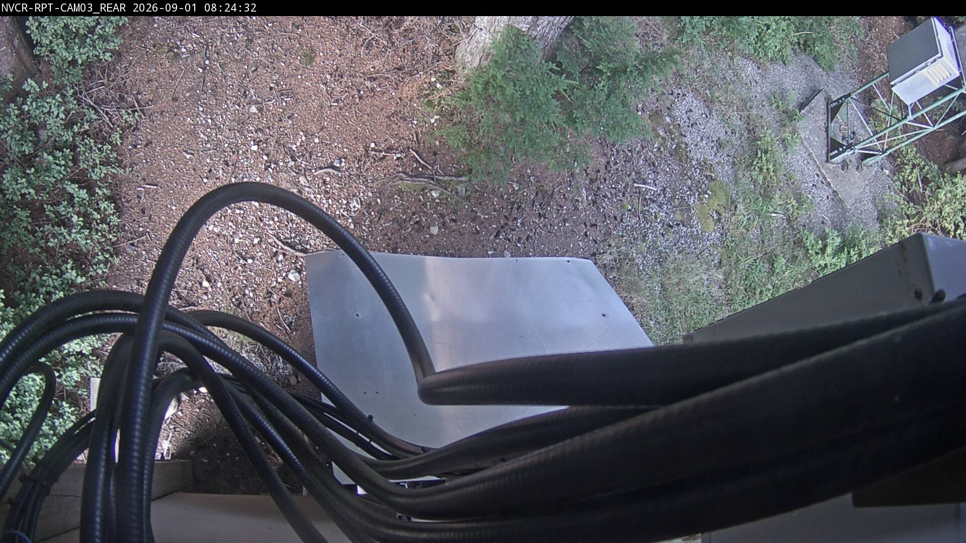 Web Cam History Image - 611