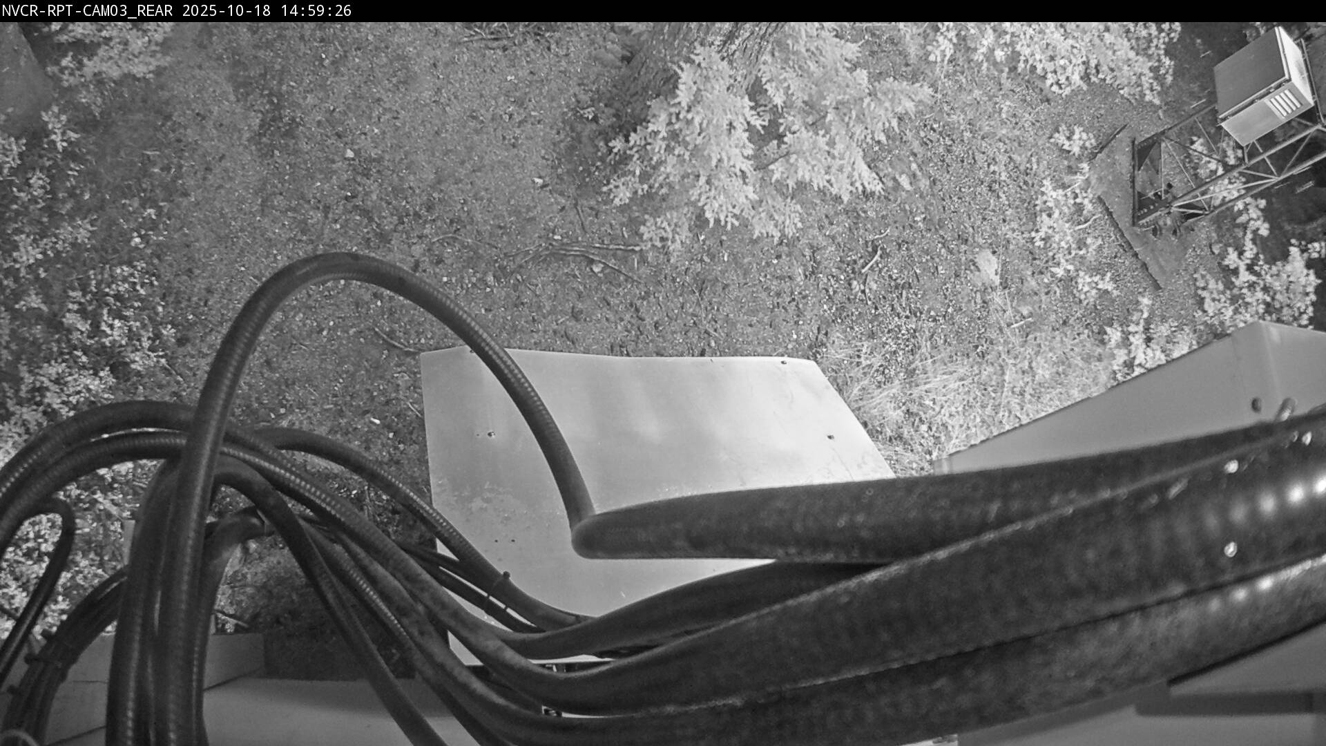 Web Cam History Image - 612