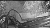 Web Cam Image - Thu, 07/16/2026 3:39am PDT