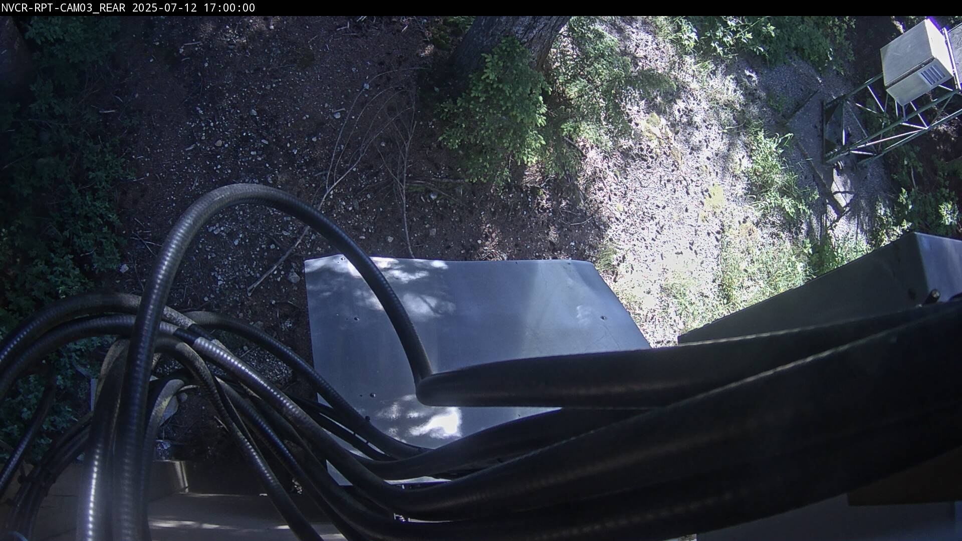 Web Cam History Image - 613
