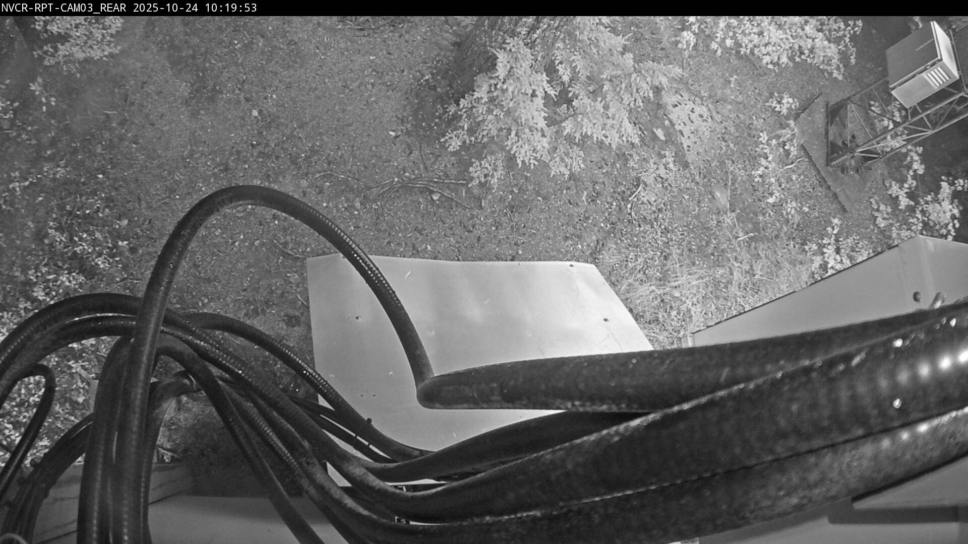 Web Cam History Image - 614