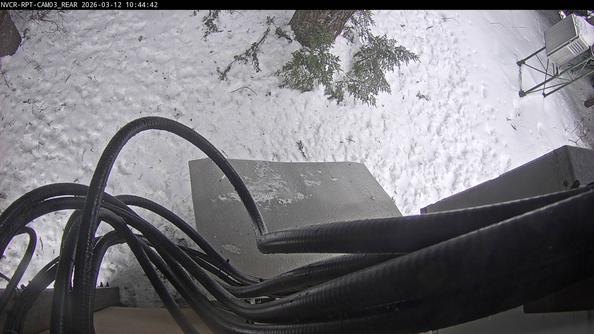 Web Cam History Image - 614