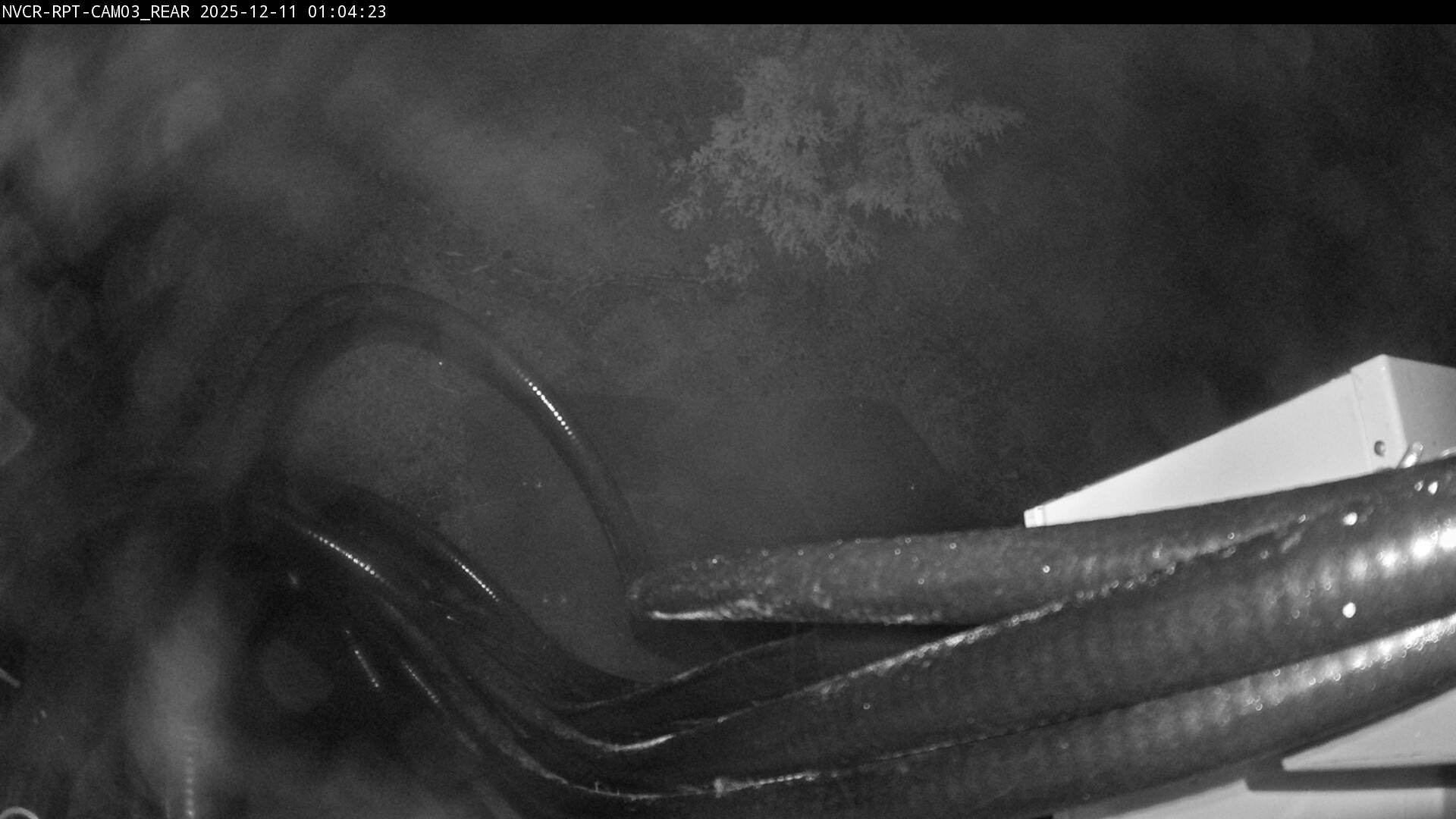 Web Cam History Image - 615