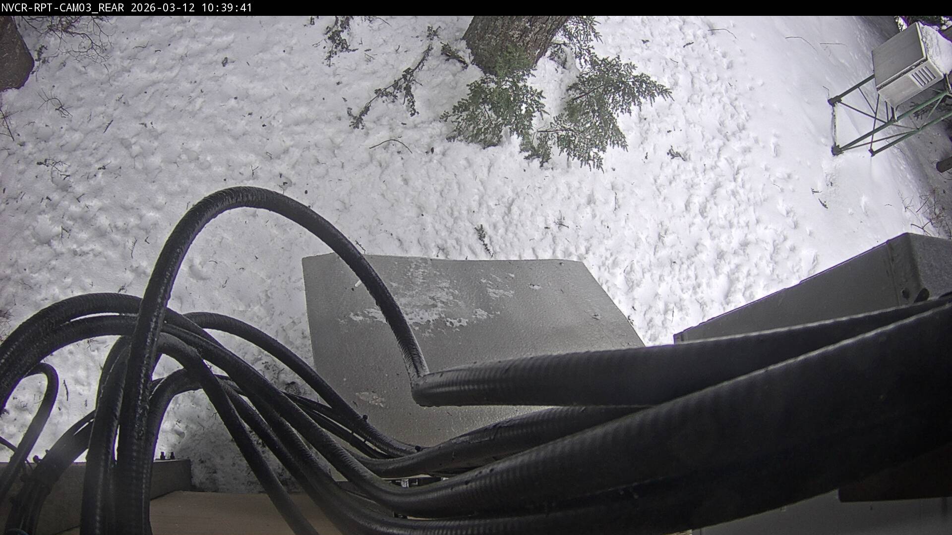 Web Cam History Image - 615