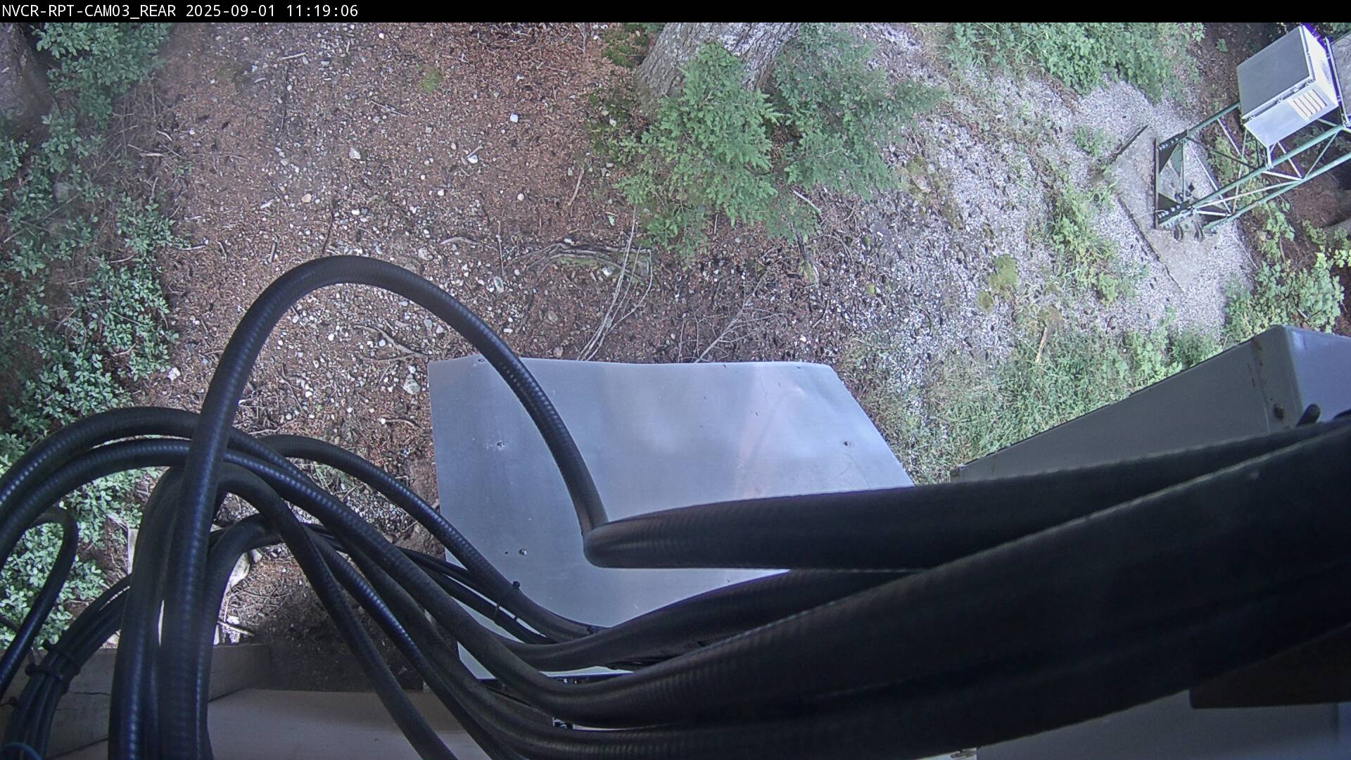 Web Cam History Image - 616