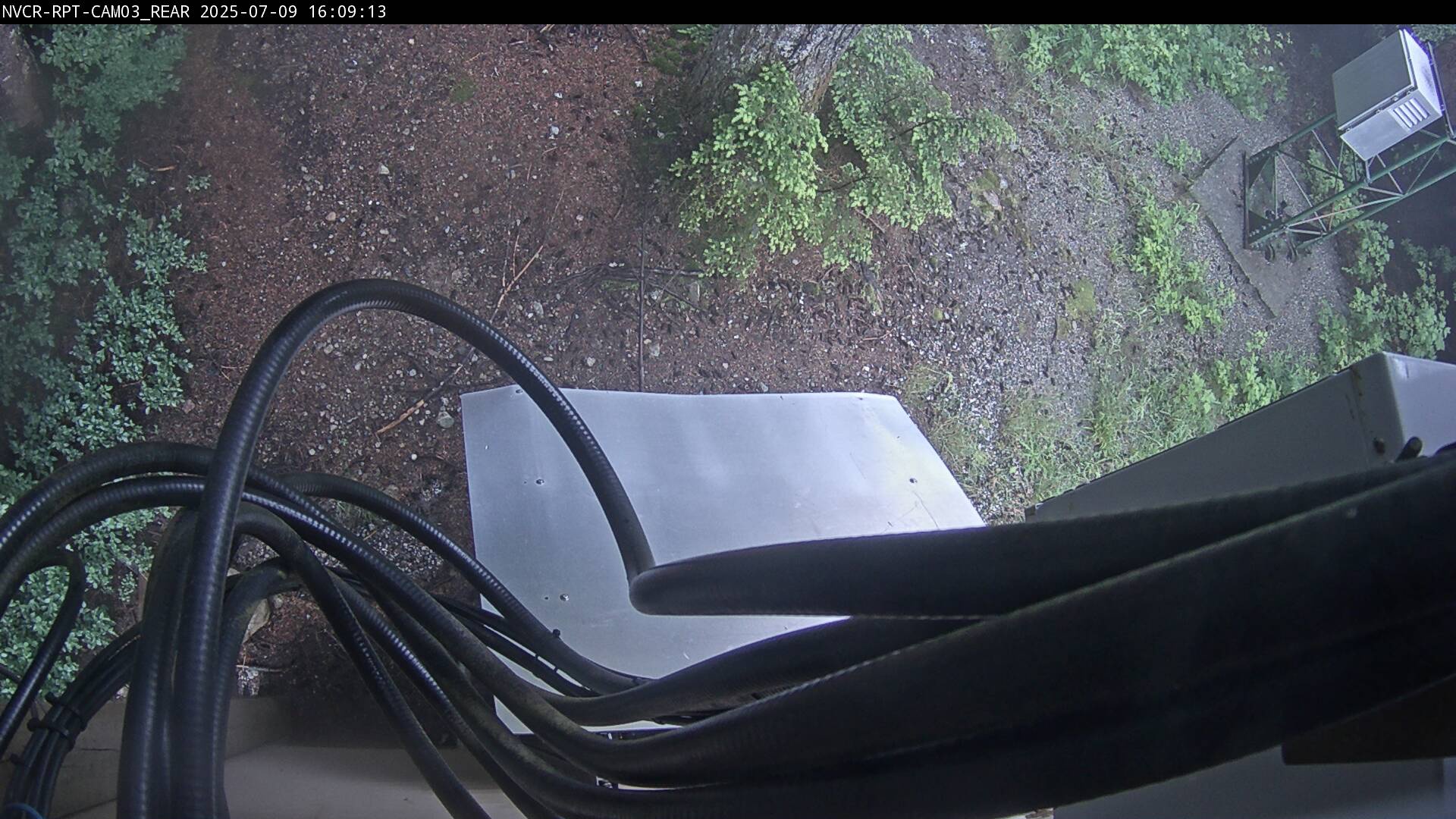 Web Cam History Image - 617