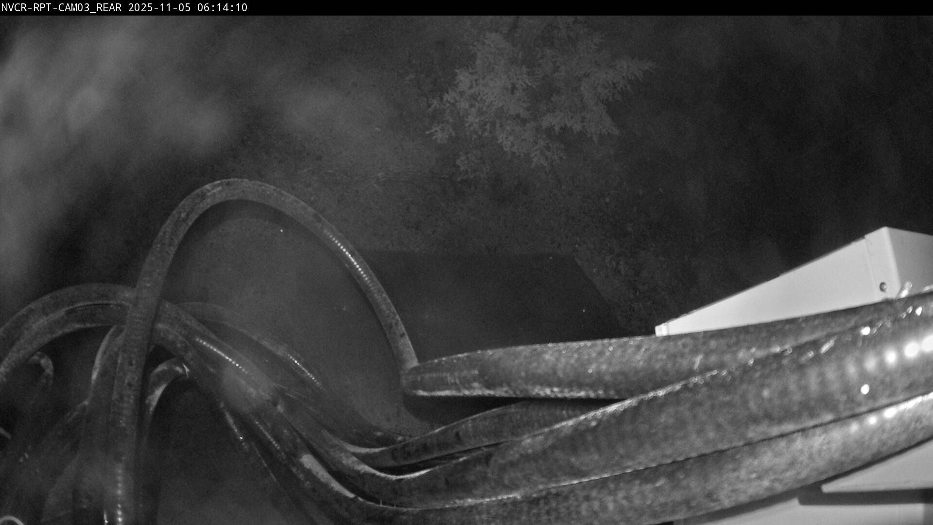 Web Cam History Image - 617