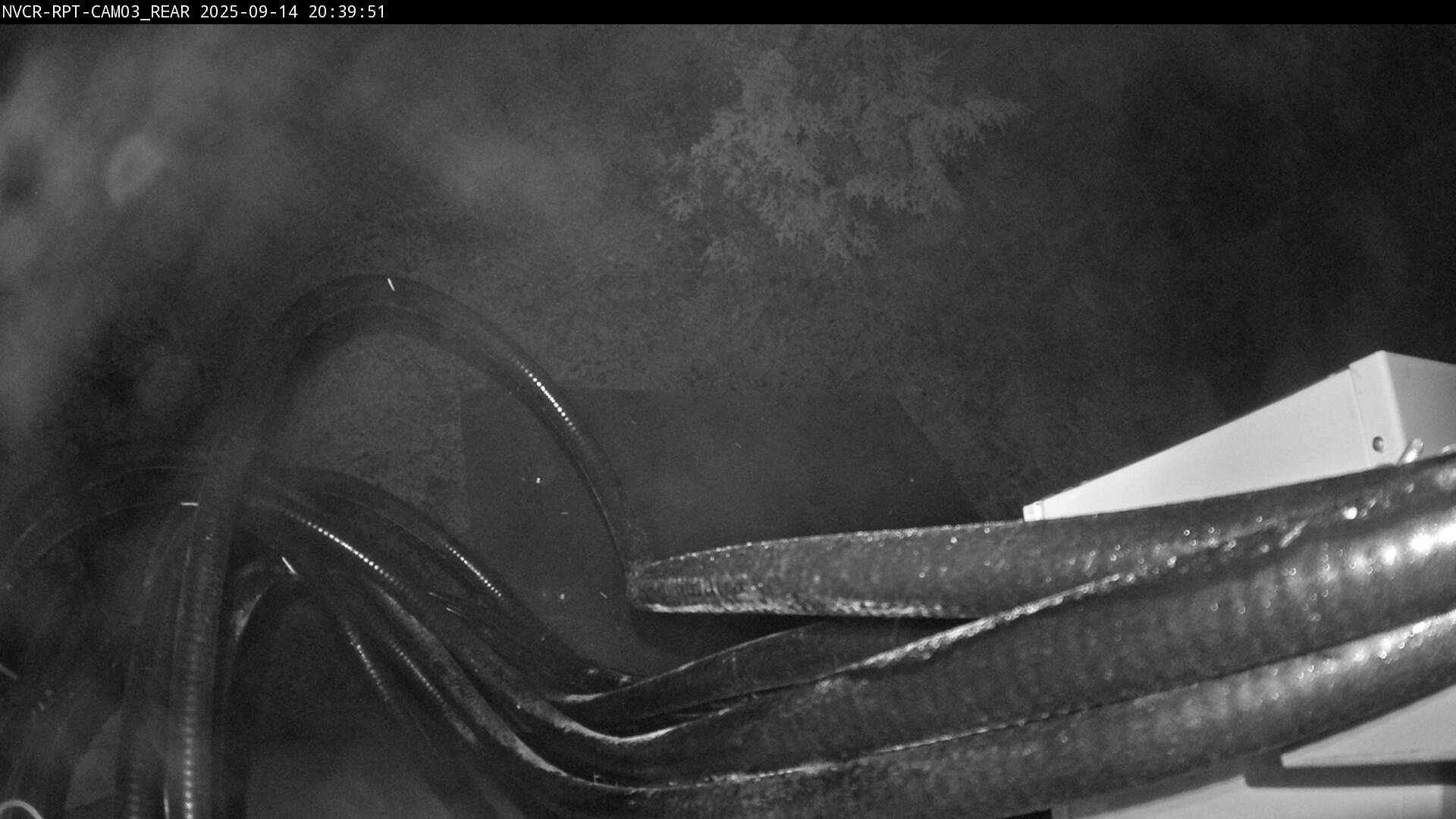 Web Cam History Image - 618