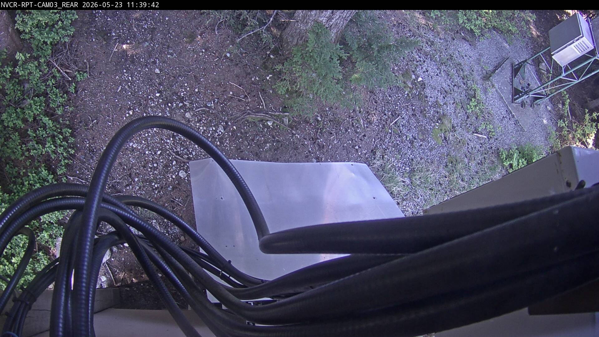 Web Cam History Image - 619