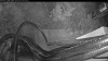 Web Cam Image - Sat, 05/02/2026 4:24am PDT