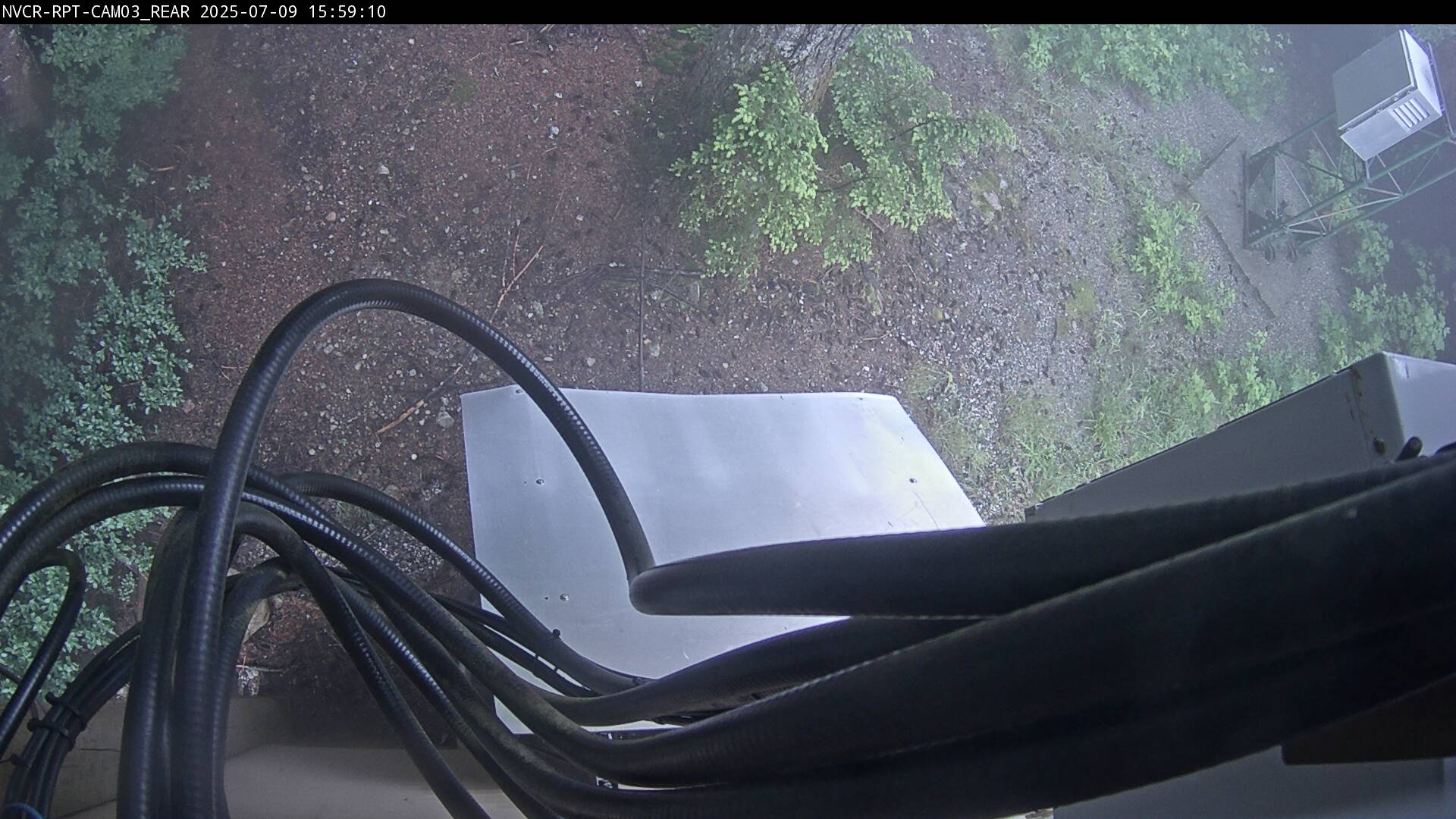Web Cam History Image - 620
