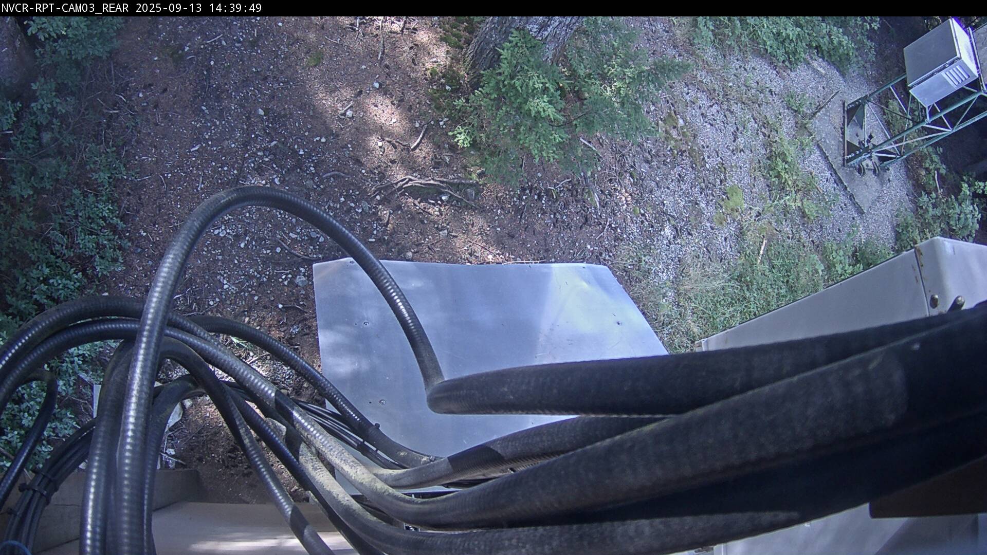 Web Cam History Image - 620