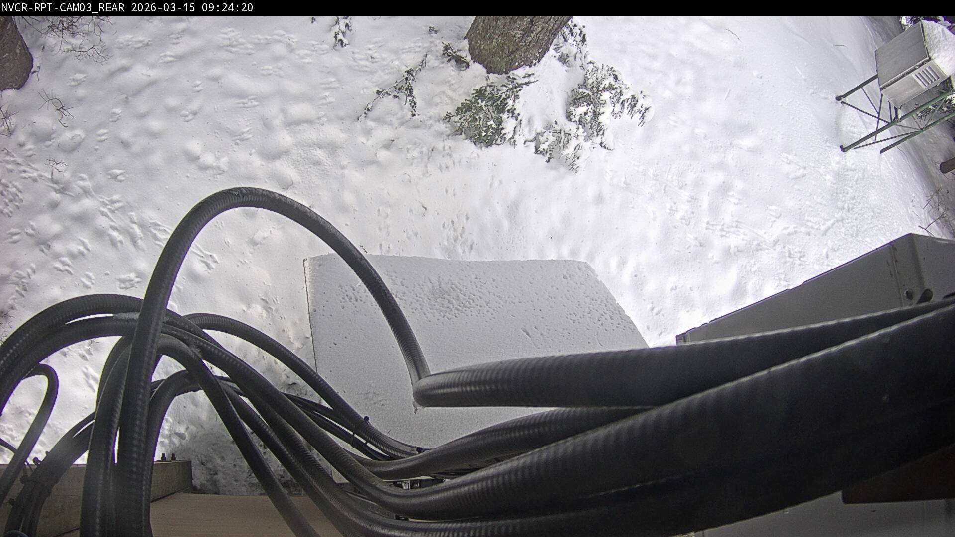 Web Cam History Image - 620