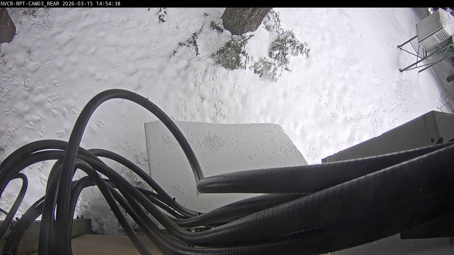 Web Cam History Image - 620