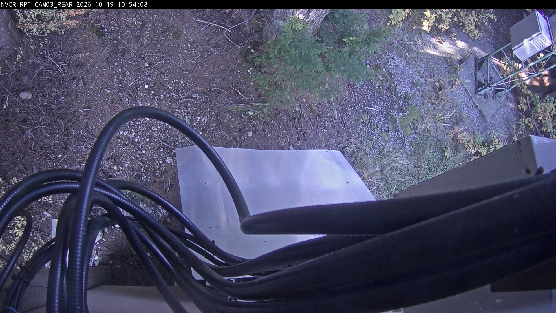 Web Cam History Image - 620