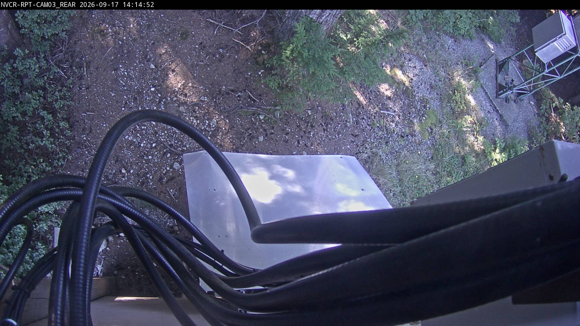 Web Cam History Image - 63