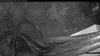 Web Cam Image - Sat, 05/02/2026 4:19am PDT